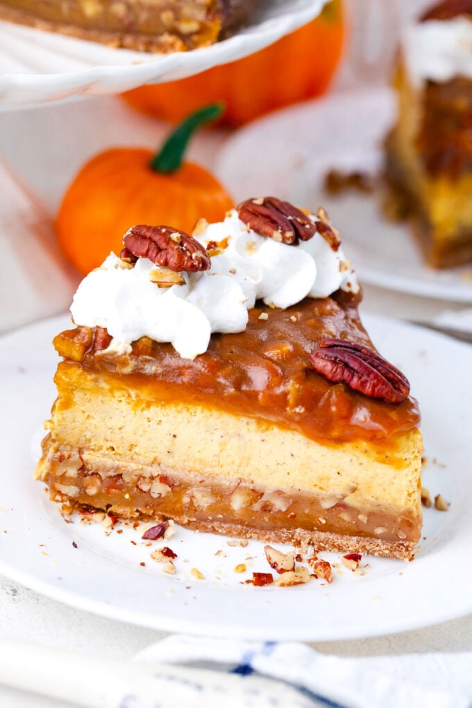 A slice of pecan pie pumpkin cheesecake on a plate.