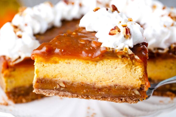 A slice of pecan pie pumpkin cheesecake topped with whipped cream on a serving spatula.