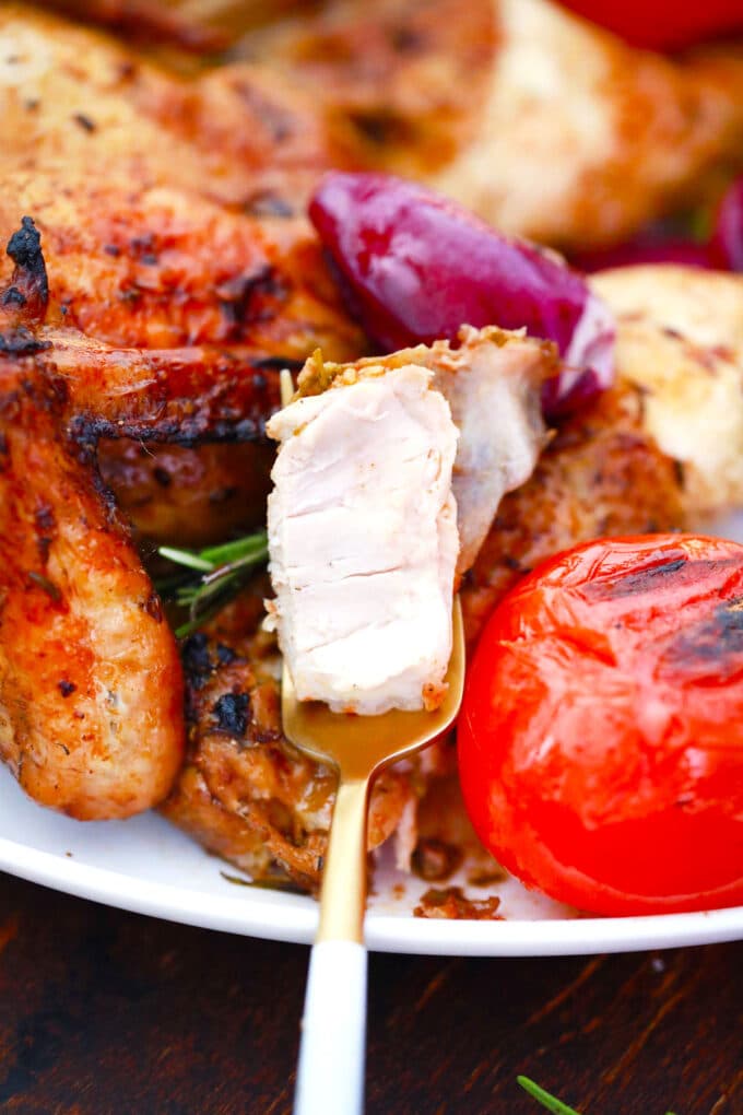 A piece of juicy grilled chicken on a fork.