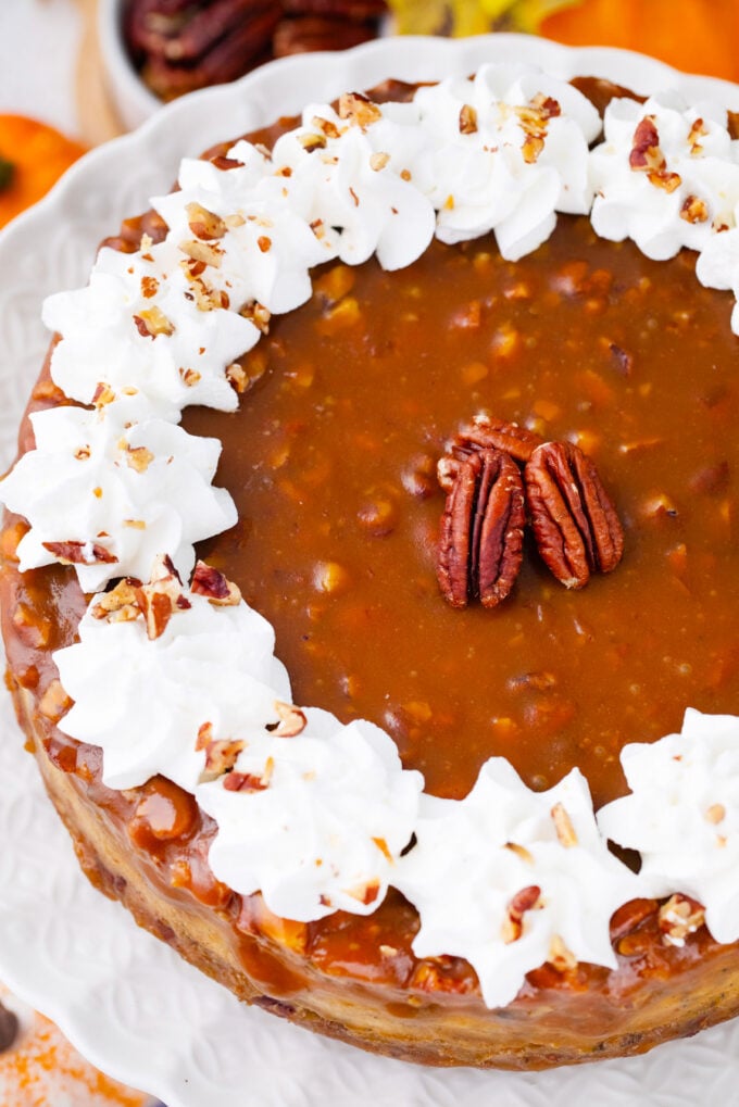 Overhead shot of pecan pie pumpkin cheesecake.