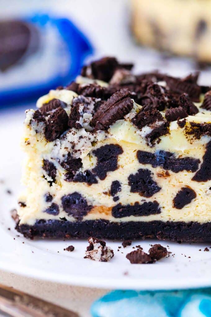 Close shot of a slice of cookies and cream instant pot cheesecake.