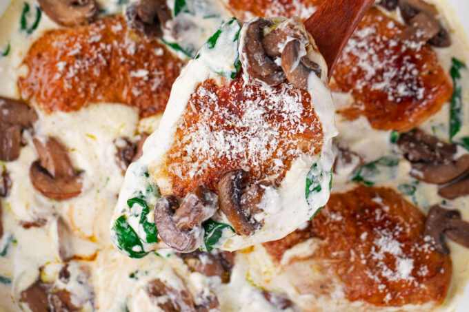 Overhead shot of creamy parmesan mushroom chicken.