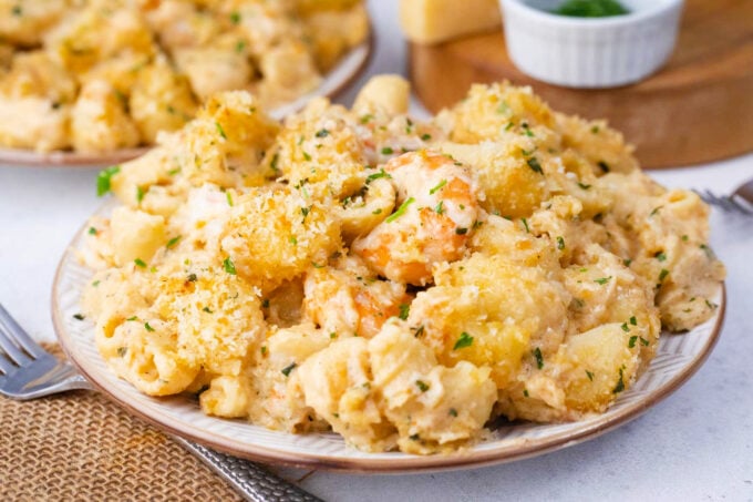 A plate of shrimp mac and cheese.