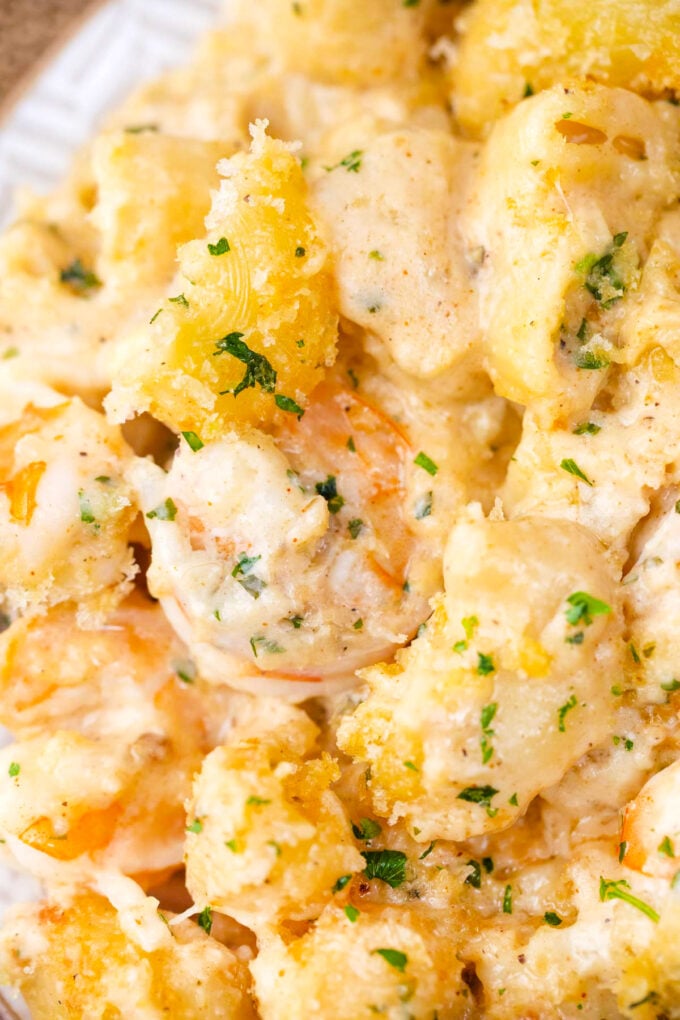 Creamy four cheese shrimp mac and cheese.